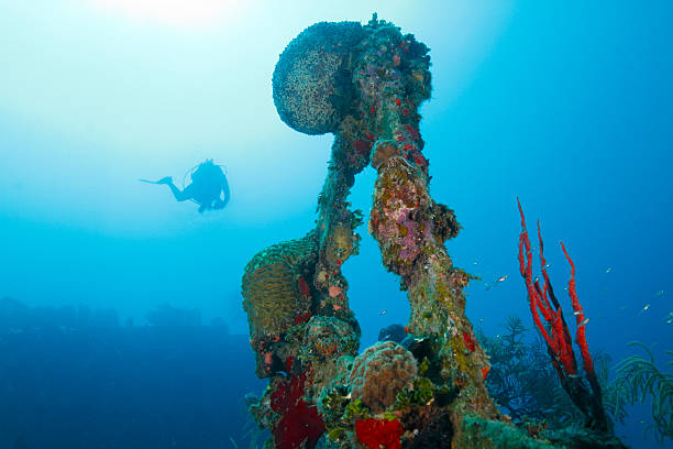istock Diver Descending Toward Shipwreck Scaffolding 533443411