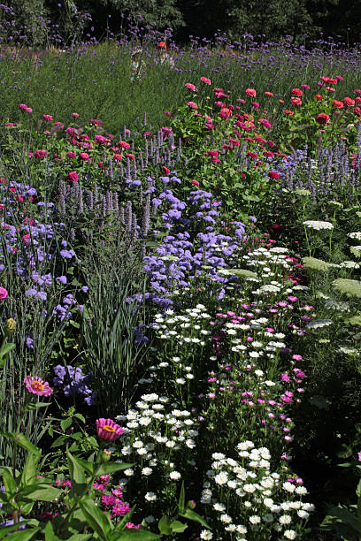 istock Colorful flower meadow 533446451