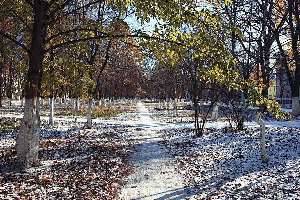 istock landscape park autumn trees snow forest 533446763