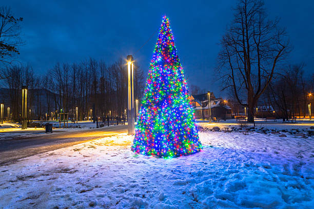 istock Christmas tree lights in the park 533447049