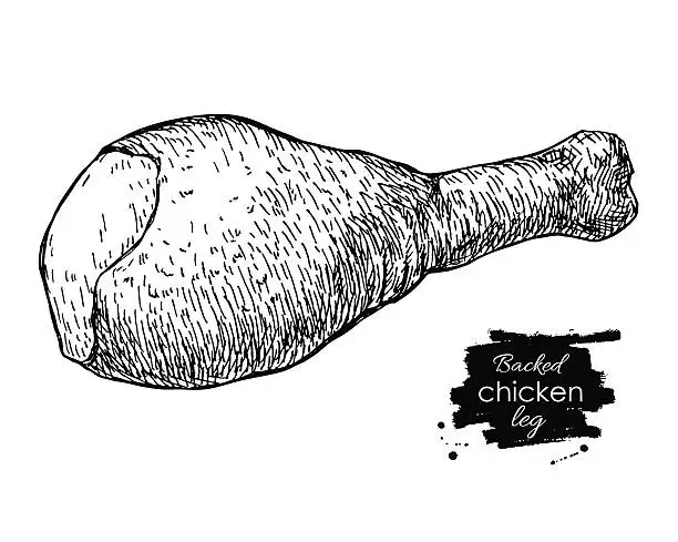 Vector illustration of Chiken part 1