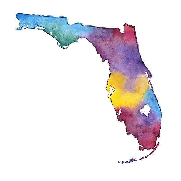 рука окрашенные акварель карта штата флорида, сша - florida cartography map florida keys stock illustrations