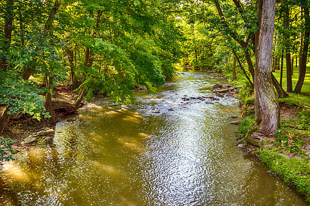 cena rural do rio miami na shelby de ohio county - ohio river valley - fotografias e filmes do acervo