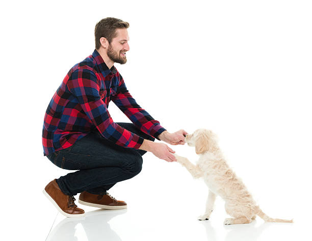 istock Smiling casual man playing with his dog 533450808