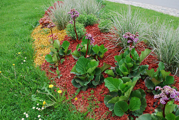 Multicolored autumn flowerbed on a lawn. Flowers on sunny fall park background. Flowers in autumn garden background. Autumn outdoor floral gardening