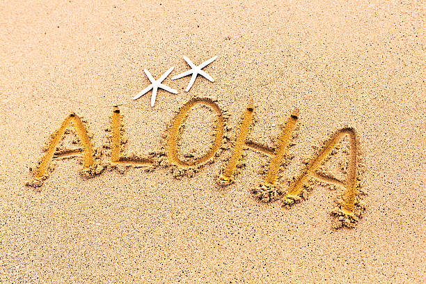 istock Aloha Greeting From Beach of Hawaii 533456020