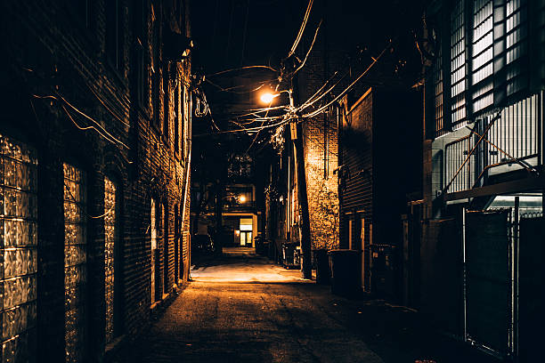 istock Dark alley. Bucktown, Chicago. 533456310