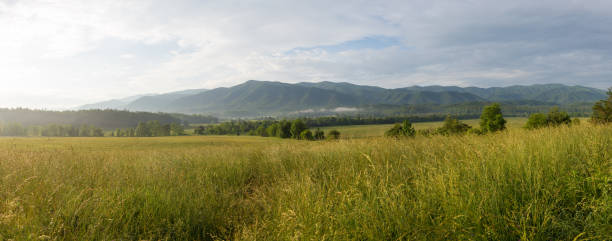 케이드 코브 일출 풍경 - great smoky mountains great smoky mountains national park panoramic sunrise 뉴스 사진 이미지