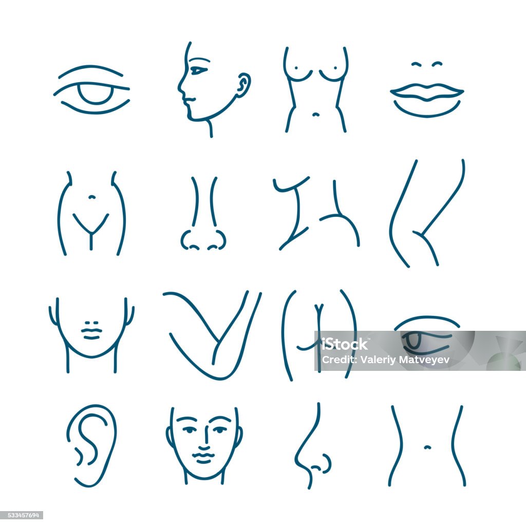 Human body parts vector line icons Human body parts vector line icons for plastic surgery or cosmetic surgery. Anatomy plastic surgery, face and eye plastic surgery, mouth and lip plastic surgery illustration Chest - Torso stock vector