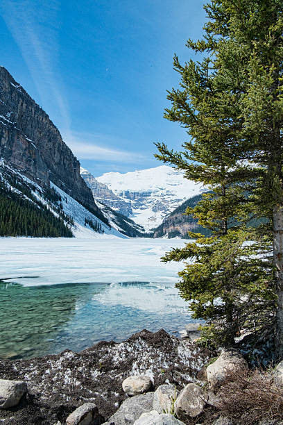 Vertical image of Lake Louise, Alberta in early spring.  Snow and open water can be seen in the foreground with ice still covering the lake in the background.