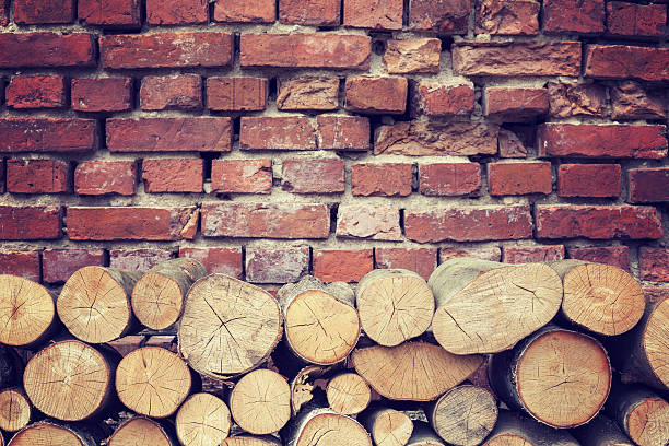 Vintage toned tree stumps and old brick wall background.