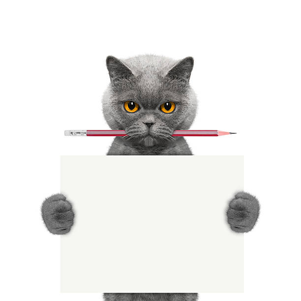 Cute White Cat 3D Icon, Black Background