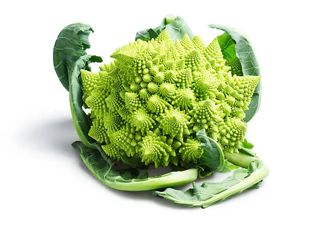 The Romanesco - called a cauliflower, brocolli or even cabbage - is a beautiful vegetable with fractal-like swirls twisting in spikes from the center of the bud. It is similar in taste to a cauliflower and in the same family as the aforementioned veggies. The buds spiral in a Fibonacci sequence until they terminate at the tips.