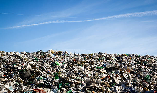 wysypisko odpadów krajobraz - landfill garbage dump garbage bird zdjęcia i obrazy z banku zdjęć