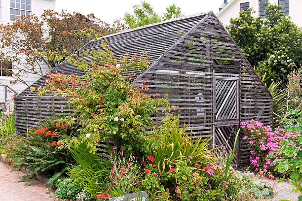 istock Wood Greenhouse 533460333