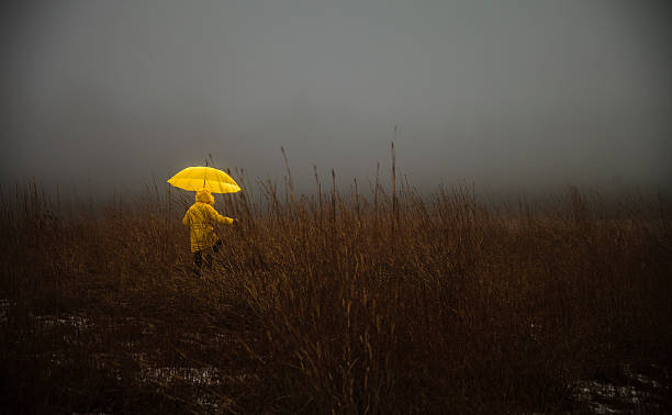 dziewczynka przejście pola w fog - spooky horror nostalgia autumn zdjęcia i obrazy z banku zdjęć