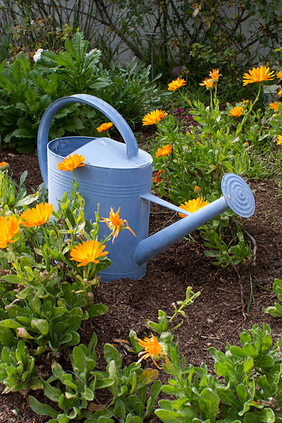 istock Flower Bed Outdoor Watering Can 533462841