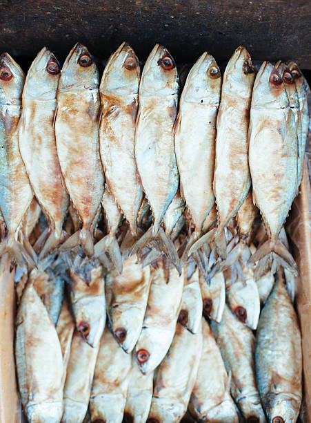 istock Fresh Mackerel fish on market 533474153