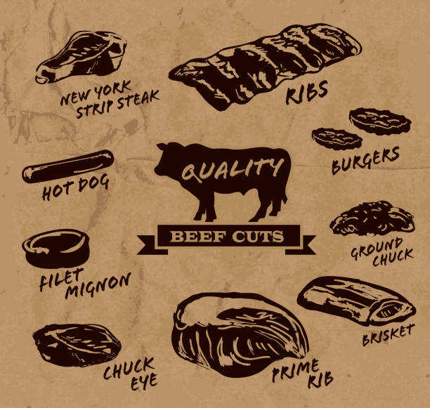 Ground Chuck Meat Illustrations, Royalty-Free Vector Graphics & Clip Art - iStock Ground Chuck Meat Illustrations, Royalty-Free Vector Graphics & Clip Art - iStock