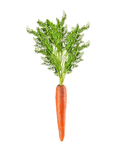 istock young carrots with tops , isolated on white background 533477949
