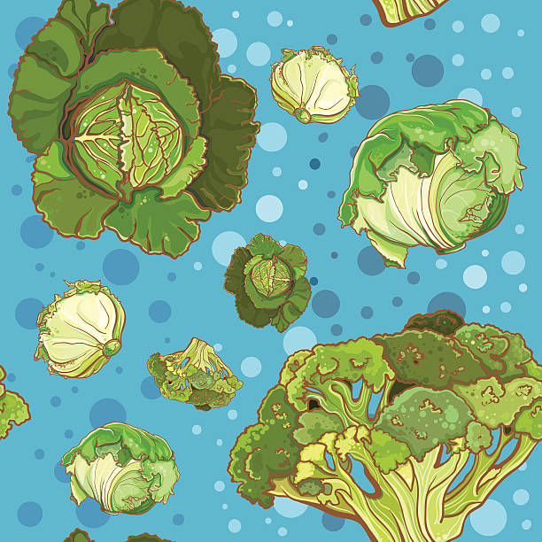 bezszwowe wzór z, kapusta, kapusta włoska - savoy cabbage stock illustrations