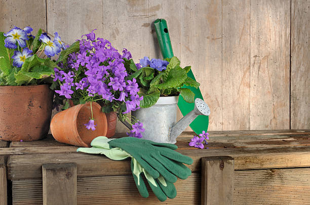 istock flowers pot and gardening tools 533478299