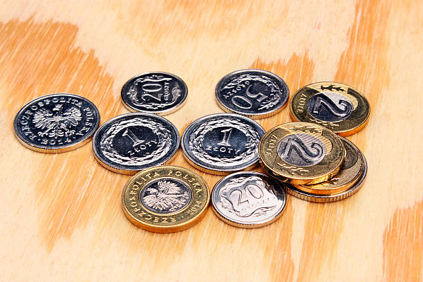 istock Polish money coins 533497451