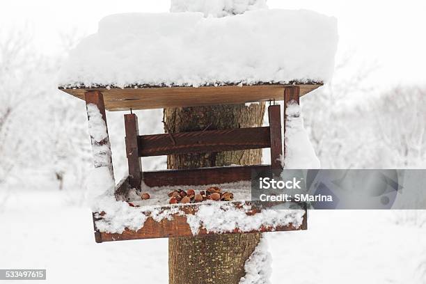 Avellana En Un Gerente Para Squirrels Foto de stock y más banco de imágenes de 2015 - 2015, Aire libre, Alimento