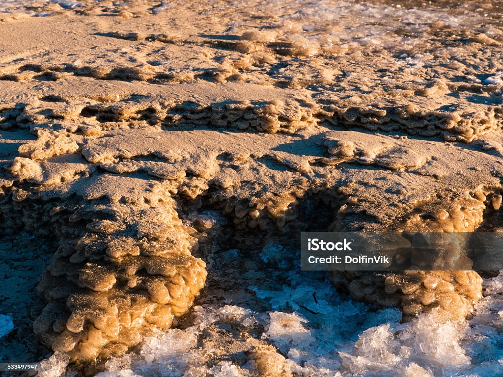 Invierno día en el Mar Báltico Beach. - Foto de stock de 2015 libre de derechos