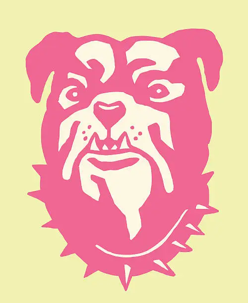 Vector illustration of Bulldog Head