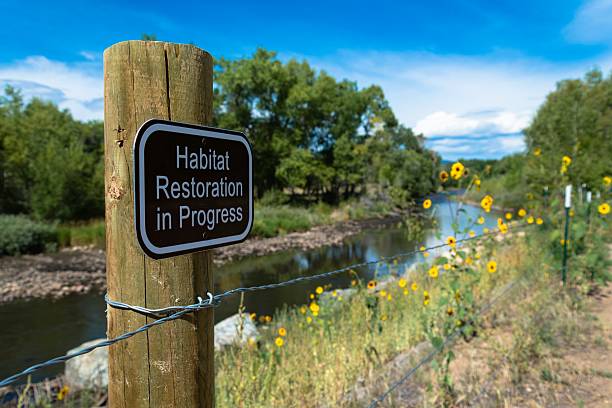 Habitat Restoration, Fort Collins A Habitat Restoration in Progress sign. Taken along the Poudre River Trail in Fort Collins where some sections are being restored to their natural state. front range mountain range stock pictures, royalty-free photos & images