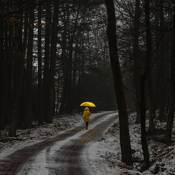 istock Little girl in the dark forest 533499087