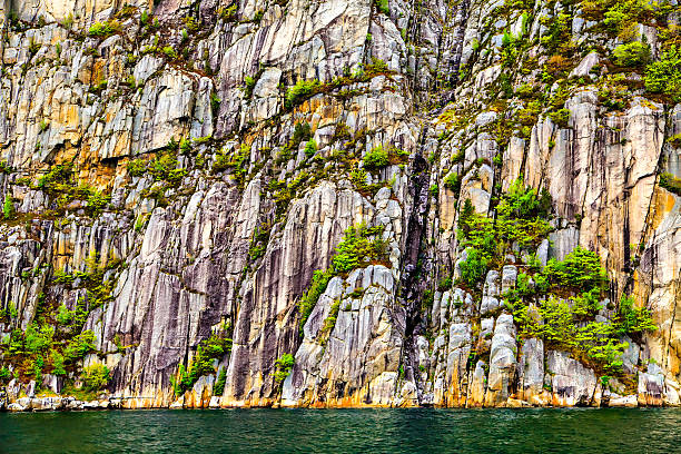 istock Carved surface of rocks, trees and sea 533500323
