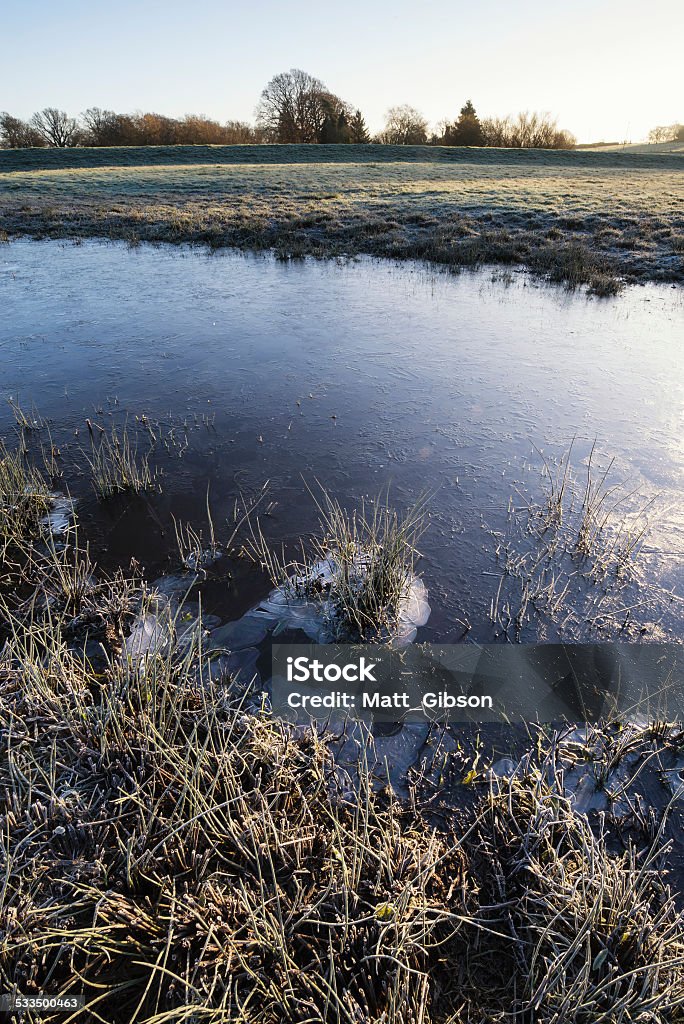 Frsoty field y un paisaje de invierno cubierto por la mañana - Foto de stock de 2015 libre de derechos