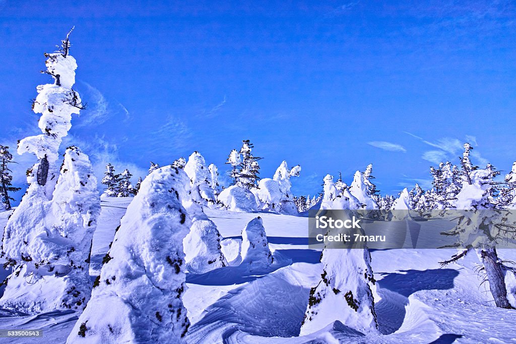 frost cubiertas de árboles - Foto de stock de 2015 libre de derechos