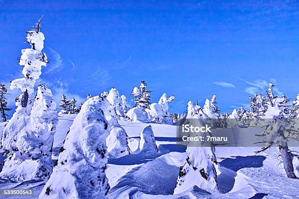 Frost Cubiertas De Árboles Foto de stock y más banco de imágenes de 2015 - 2015, Aire libre, Azul