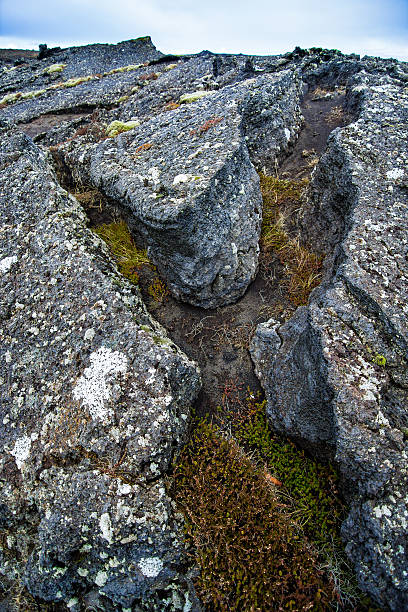 istock Extreme terrain landscape with basalt rock and moss in Iceland 533500701