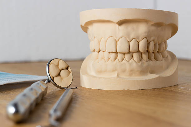 istock Dental mold with dental tools 533503107