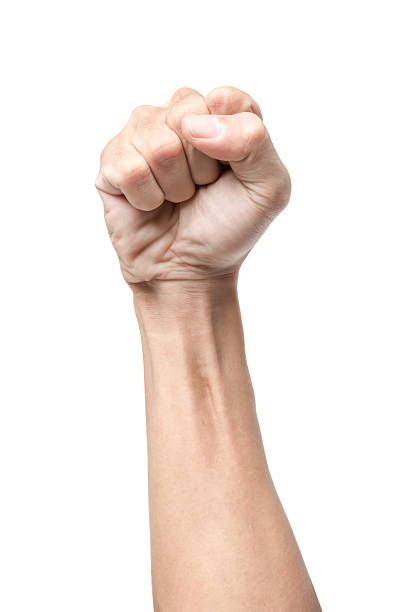 Male clenched fist stock photo