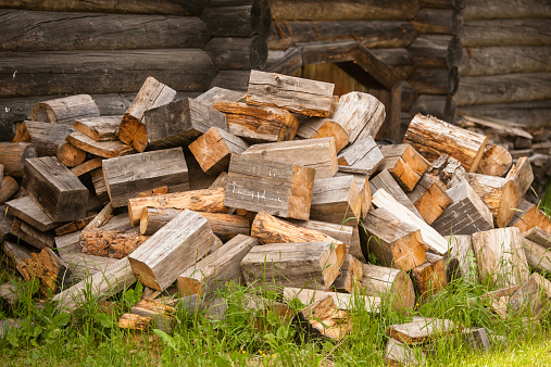 Wood piles near the muddy mountain road on Stara Planina, Serbia