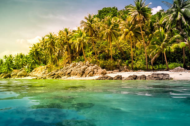 istock landscape of tropical island 533505373