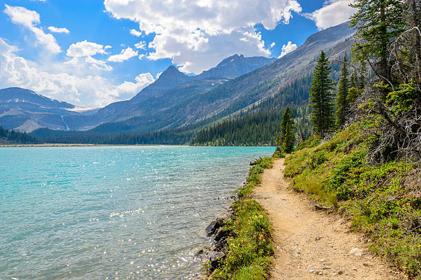 istock Bow Lake, Canadian Rockies 533515473