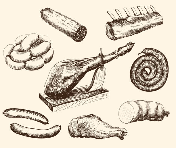meat products meat products set of vector sketches on a white background animal leg stock illustrations