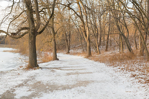 istock Path in the Winter with Snow and Trees 533517295