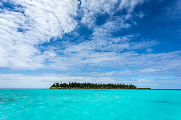 Tropical Beach Paradise, Isle of Pines, New Caledonia Tropical Beach Paradise on Isle of Pines in New Caledonia (ile des pins). The weather is nice and sunny with few clouds and crystal clear water.  new caledonia photos stock pictures, royalty-free photos & images