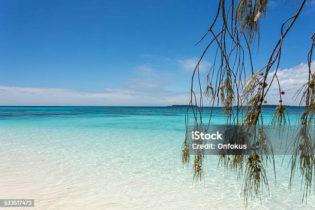 Tropical Beach Paradise Isle Of Pines New Caledonia Stock Photo - Download Image Now