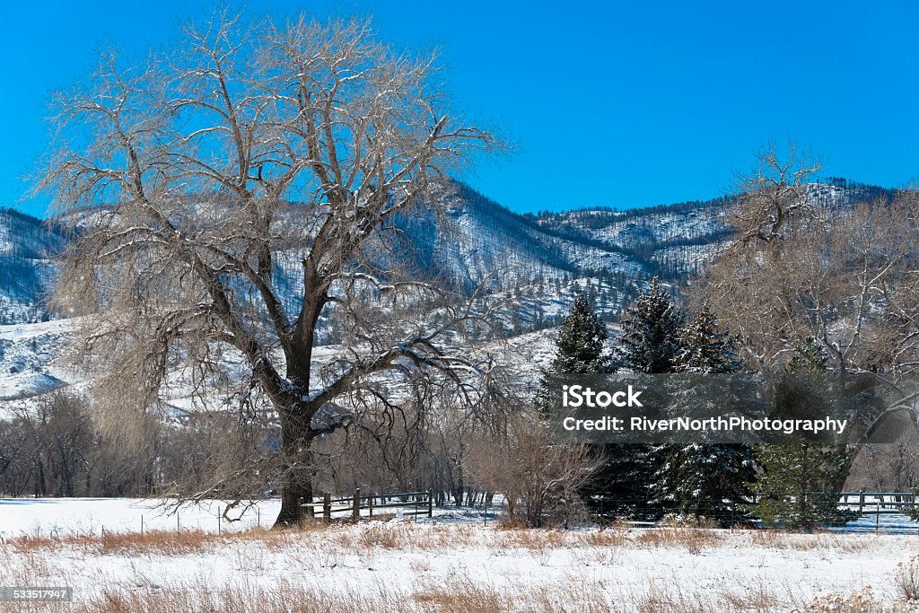Poudre Canyon in Winter The beautiful Poudre Canyon outside of Fort Collins, Colorado in winter. 2015 Stock Photo