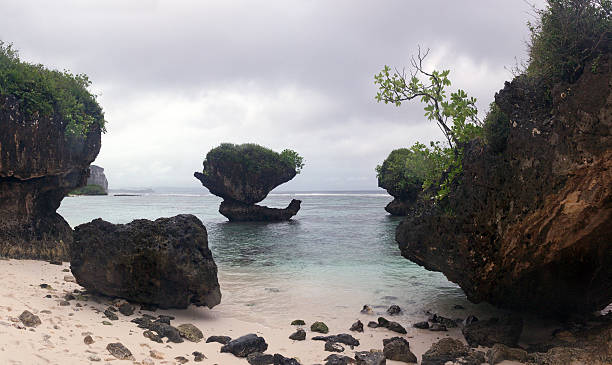 istock Rock in the ocean 533532659