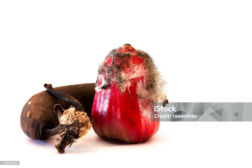 infected Rose apple with mold Close up shot of fungus spore growing on Fruit. 2015 Stock Photo