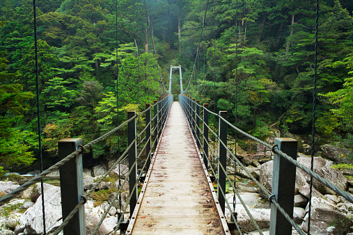 A suspension bridge crossing a river in lush rainforest on the southern island of Yakushima (屋久島), Japan.